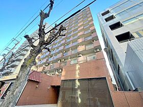 大阪府大阪市淀川区西宮原２丁目3番30号（賃貸マンション1DK・9階・30.24㎡） その1