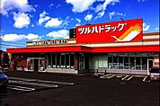 ツルハドラッグ平岸店 302m