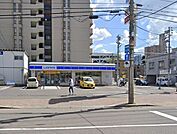 ローソン札幌南9条西八丁目店 260m