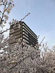 物件画像 中古マンション　アルファスマート神辺