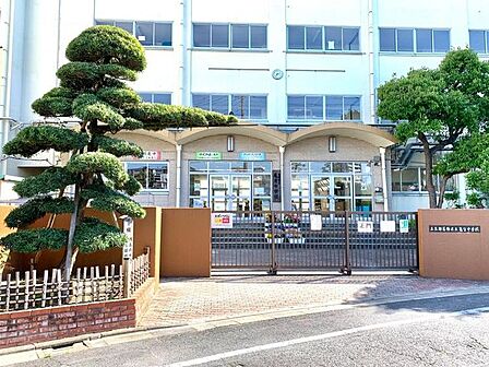 葛飾区立亀有中学校 徒歩11分。 860m