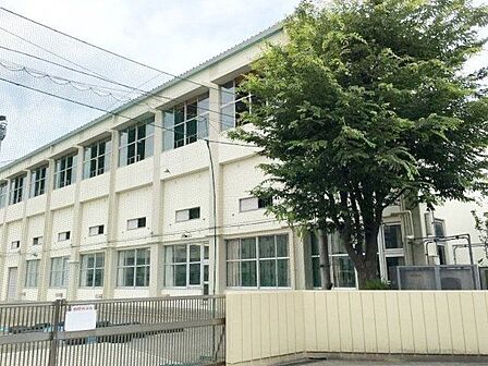 葛飾区立新宿中学校 徒歩8分。 590m