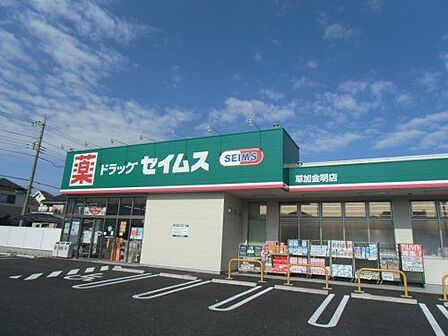 ドラッグセイムス草加金明店 徒歩10分。 780m