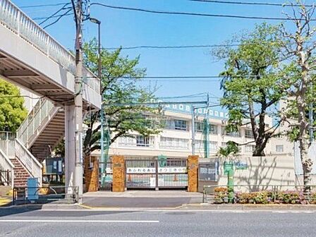 墨田区立第三寺島小学校 徒歩7分。 490m