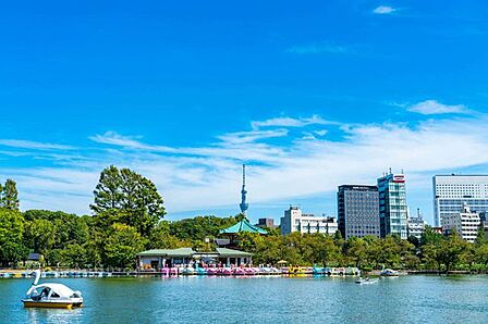 東京都上野恩賜公園 徒歩12分。 910m