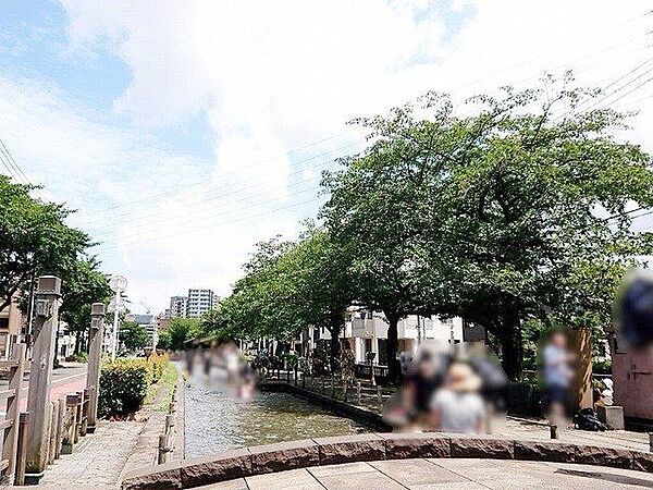 周辺を拡大表示