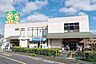 周辺：ライフ水元店 徒歩14分。 1090m