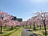 周辺：都立尾久の原公園 徒歩14分。 1090m