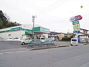 徒歩8分。【ドラッグセイムス仏子店】営業時間9時00分～21時45分。ポイントデー水曜日・日曜日。駐車場台数8台。 620m