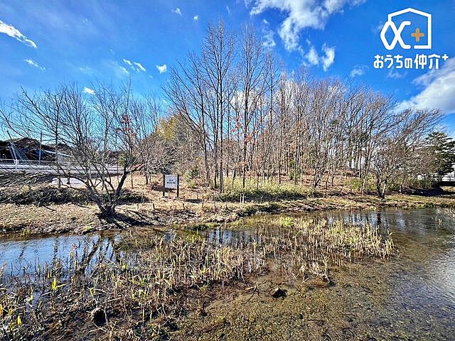 周辺 久留米ハイライズ 2階/-