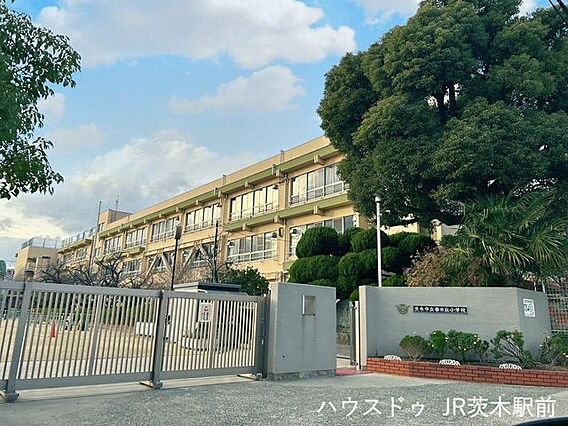 春日丘小学校茨...