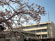 小学校「岡山市立古都小学校まで798ｍ」