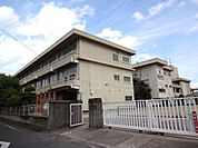 小学校「岡山市立宇野小学校まで1240ｍ」