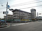 小学校「岡山市立御南小学校まで343ｍ」