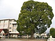 小学校「岡山市立可知小学校まで927ｍ」