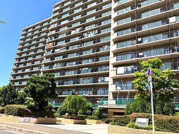 物件画像 ルネ住之江