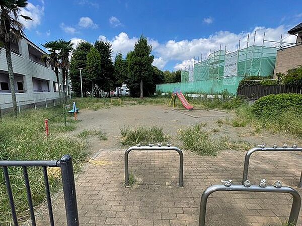 周辺を拡大表示