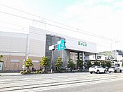 フジ道後店 67m