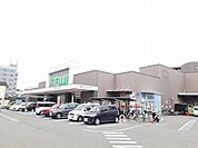 フジ立花店 900m
