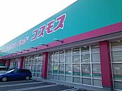 コスモス堀江店 750m