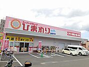 ひまわり東長戸店 750m