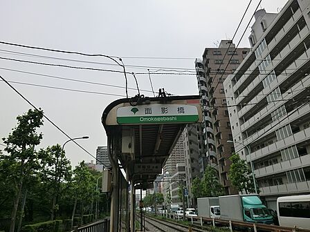 駅 80m 都電荒川線 面影橋駅