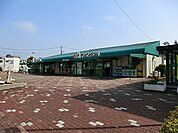 スーパー 600m マルエツ大宮プラザ店