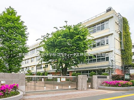 中学校 1050m 世田谷区立三宿中学校