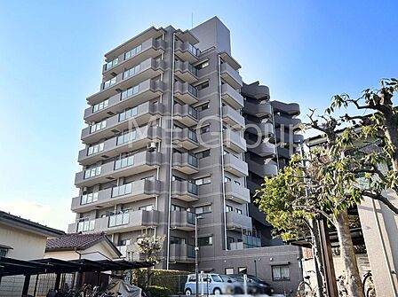 生活に便利な地に伸びやかな家族の生活風景を描く住まい