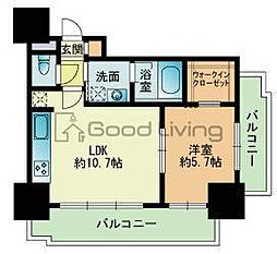 RJRプレシア吉塚駅前 1LDKの間取図画像