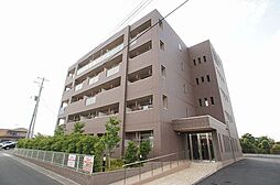 ロイヤルマム
