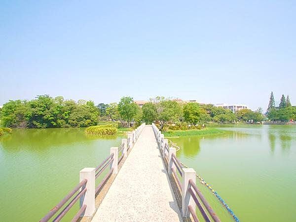 周辺を拡大表示