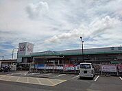 コメリ瀬戸田店まで800m