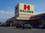 ハローズ新涯店まで700m