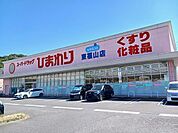 ひまわり東福山店まで1100m