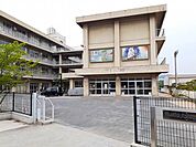 大津野小学校まで700m