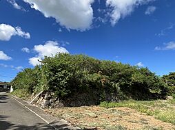 物件画像 土地　城辺友利 海と夕陽が見える高台　245坪　畑