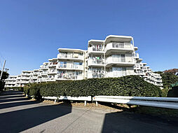 物件画像 東寺尾ヒルズ85 L棟