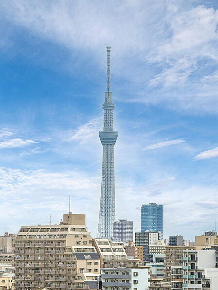 スカイツリーを正面に望む贅沢なロケーション。青空が広がり、朝から晩まで変化する景色を楽しめます。