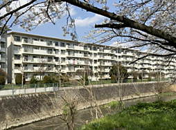 物件画像 武里団地　5街区