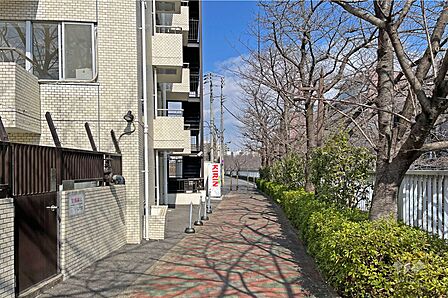 神田川沿いの散策を楽しめる敷地東側の遊歩道(南側から)