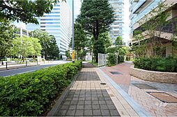 敷地北側の前面道路(西側から)