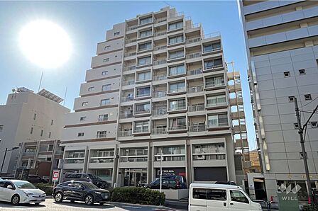 メゾンドール高田馬場の外観(東側から)