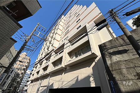 メゾンドール高田馬場の外観(南西側から)