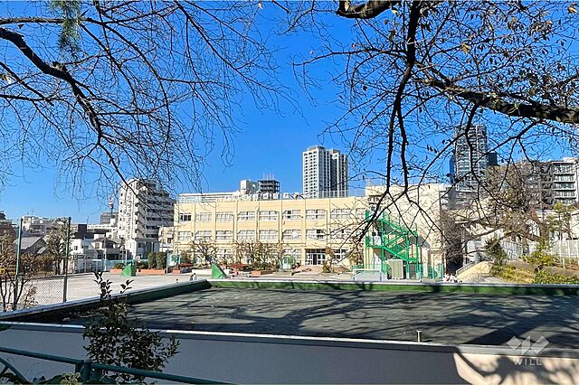 周辺 中野区中央5丁目11