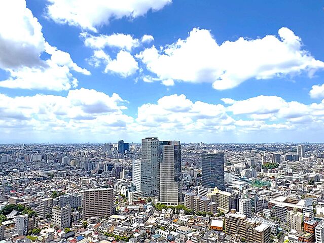 バルコニー パークタワー西新宿 39階/-