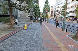 敷地西側の前面道路。二車線のバス通りです。