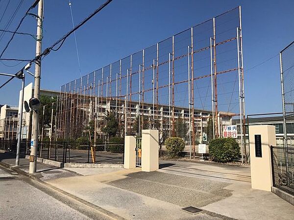 Beautiful mountainous landscape with colorful sky