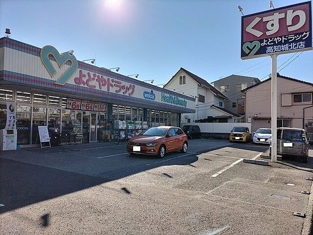 周辺 ＼高知市桜馬場　ダイアパレス桜馬場／ 4階/-