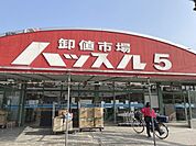 ハッスル5　大和郡山店まで240メートル